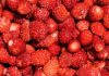 Kako pravilno oprati jagode: Jednostavan trik uklanja prljavštinu i pesticide za nekoliko minuta Kako pravilno oprati jagode: Jednostavan trik uklanja prljavštinu i pesticide za nekoliko minuta - featured image