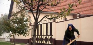 Veruje se da kroz ovih 7 znakova pokojnik bližnjima šalje određenu poruku: U jednoj situaciji treba biti veoma pažljiv Veruje se da kroz ovih 7 znakova pokojnik bližnjima šalje određenu poruku: U jednoj situaciji treba biti veoma pažljiv - featured image