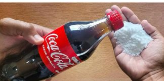 UZMITE ČAŠU COCA-E, OBIČNE SODE BIKARBONE I SAČUVAJTE OVAJ DOMAĆI TRIK: KORISTIM GA GODINAMA I PREPORUČUJEM SVIMA UZMITE ČAŠU COCA-E, OBIČNE SODE BIKARBONE I SAČUVAJTE OVAJ DOMAĆI TRIK: KORISTIM GA GODINAMA I PREPORUČUJEM SVIMA - featured image