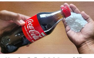 UZMITE ČAŠU COCA-E, OBIČNE SODE BIKARBONE I SAČUVAJTE OVAJ DOMAĆI TRIK: KORISTIM GA GODINAMA I PREPORUČUJEM SVIMA UZMITE ČAŠU COCA-E, OBIČNE SODE BIKARBONE I SAČUVAJTE OVAJ DOMAĆI TRIK: KORISTIM GA GODINAMA I PREPORUČUJEM SVIMA - featured image