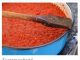 BOLJI RECEPT ZA AJVAR NEĆETE NIGDJE NAĆI: Tajna je u 1 sastojku! BOLJI RECEPT ZA AJVAR NEĆETE NIGDJE NAĆI: Tajna je u 1 sastojku! - featured image