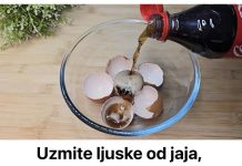 Uzmite ljuske od jaja, običnu KOLU i sačuvajte ovaj domaći trik: Koristim ga godinama i preporučujem svima Uzmite ljuske od jaja, običnu KOLU i sačuvajte ovaj domaći trik: Koristim ga godinama i preporučujem svima - featured image