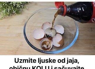Uzmite ljuske od jaja, običnu KOLU i sačuvajte ovaj domaći trik: Koristim ga godinama i preporučujem svima Uzmite ljuske od jaja, običnu KOLU i sačuvajte ovaj domaći trik: Koristim ga godinama i preporučujem svima - featured image