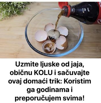 Uzmite ljuske od jaja, običnu KOLU i sačuvajte ovaj domaći trik: Koristim ga godinama i preporučujem svima Uzmite ljuske od jaja, običnu KOLU i sačuvajte ovaj domaći trik: Koristim ga godinama i preporučujem svima - featured image
