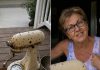 Susjeda me nagovorila da joj posudim mikser moje pokojne majke – onda ga je razbila, ostavila prljavog na mom trijemu i nekako me natjerala da se zapitam je li to bilo namjerno Susjeda me nagovorila da joj posudim mikser moje pokojne majke – onda ga je razbila, ostavila prljavog na mom trijemu i nekako me natjerala da se zapitam je li to bilo namjerno - featured image