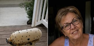 Susjeda me nagovorila da joj posudim mikser moje pokojne majke – onda ga je razbila, ostavila prljavog na mom trijemu i nekako me natjerala da se zapitam je li to bilo namjerno Susjeda me nagovorila da joj posudim mikser moje pokojne majke – onda ga je razbila, ostavila prljavog na mom trijemu i nekako me natjerala da se zapitam je li to bilo namjerno - featured image