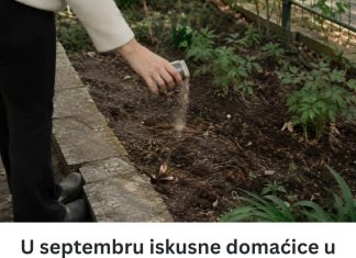 U septembru iskusne domaćice u bašti posipaju TRI KAŠIKE OVOG ZAČINA i tako znaju da će im zemlja ostati zdrava tokom zime U septembru iskusne domaćice u bašti posipaju TRI KAŠIKE OVOG ZAČINA i tako znaju da će im zemlja ostati zdrava tokom zime - content image