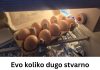 Evo koliko dugo stvarno možete čuvati jaja u frižideru – odgovor će vas iznenaditi! Evo koliko dugo stvarno možete čuvati jaja u frižideru – odgovor će vas iznenaditi! - featured image