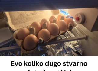 Evo koliko dugo stvarno možete čuvati jaja u frižideru – odgovor će vas iznenaditi! Evo koliko dugo stvarno možete čuvati jaja u frižideru – odgovor će vas iznenaditi! - featured image