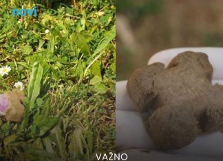 Upozorenje građanima: Više od milion paketića past će s neba, ne smijete ih dirati golim rukama Upozorenje građanima: Više od milion paketića past će s neba, ne smijete ih dirati golim rukama - featured image